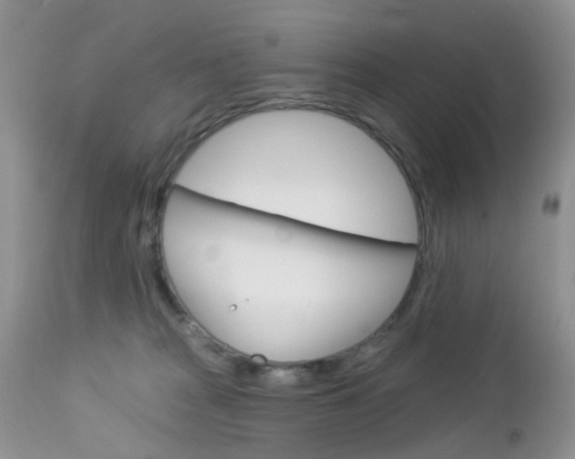 X0000113120277200908281049