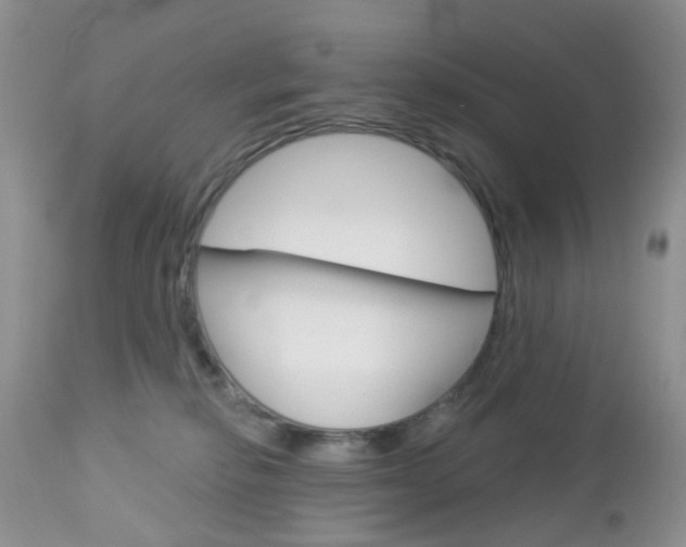 X0000113120278200908281049