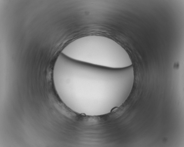 X0000113120282200908281049