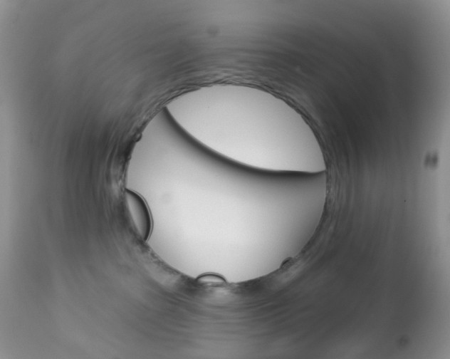 X0000113120285200908281049
