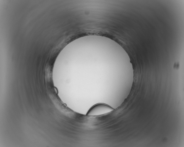 X0000113120287200908281049