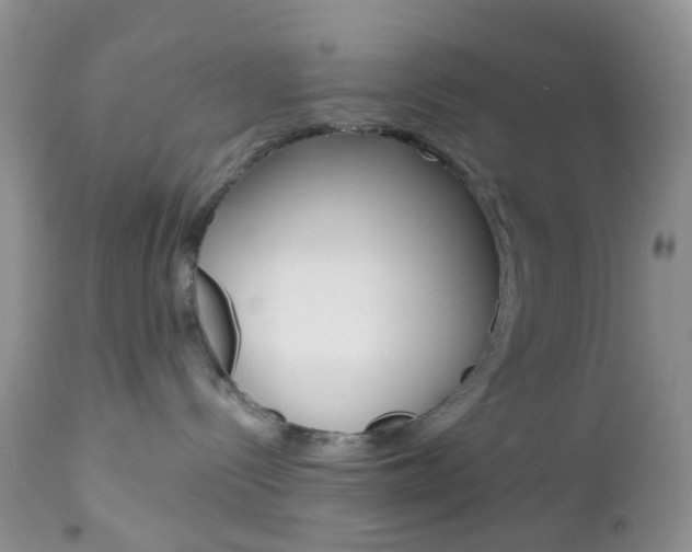 X0000113120288200908281049