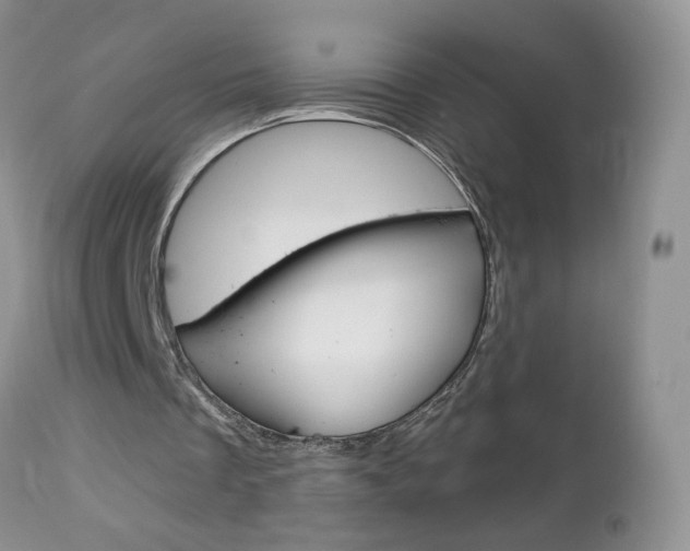 X0000113120289200908281049