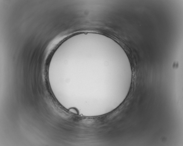 X0000113120294200908281048