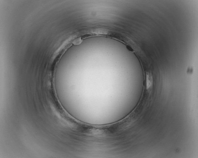 X0000113120300200908281048