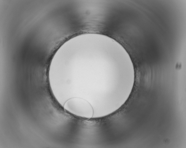 X0000113120302200908281048