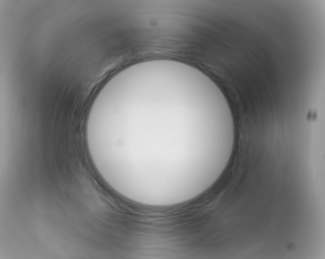 X0000113120308200908281048
