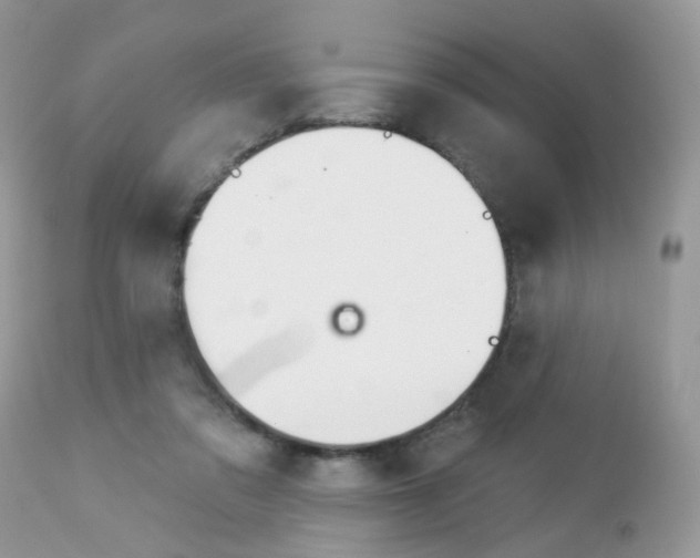 X0000113120309200908281048