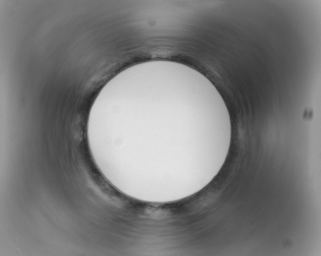 X0000113120311200908281048