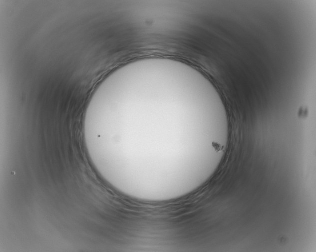 X0000113120317200908281048