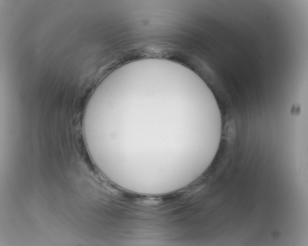 X0000113120318200908281048