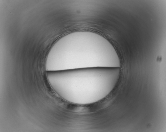 X0000113120319200908281048