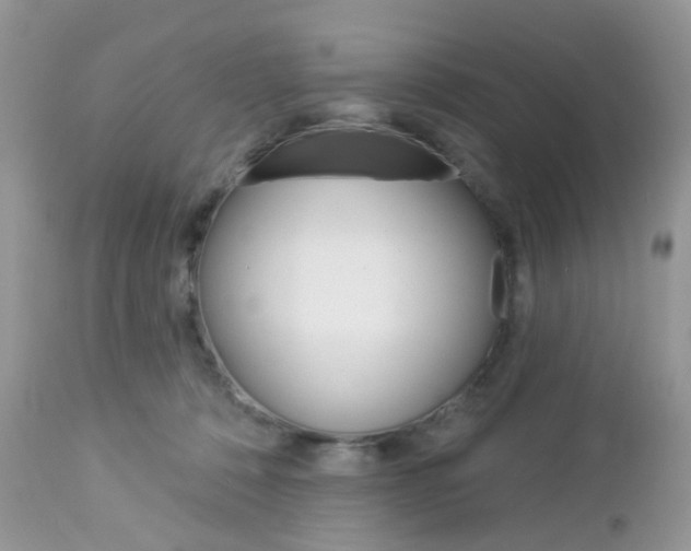 X0000113120320200908281048