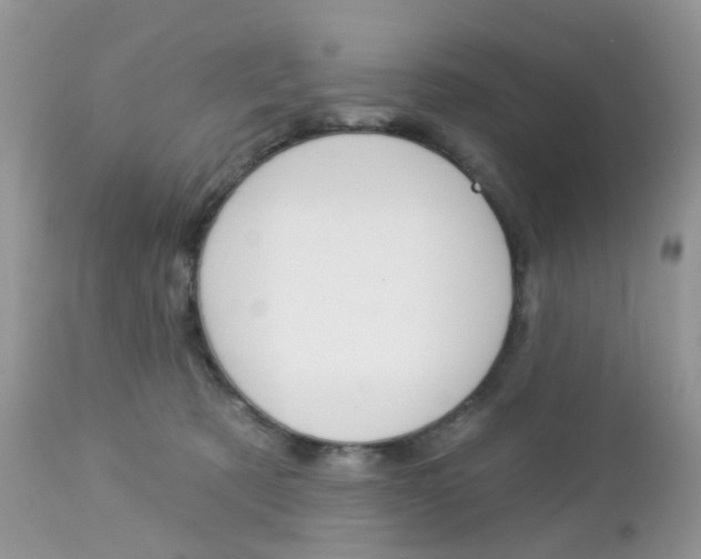 X0000113120321200908281048