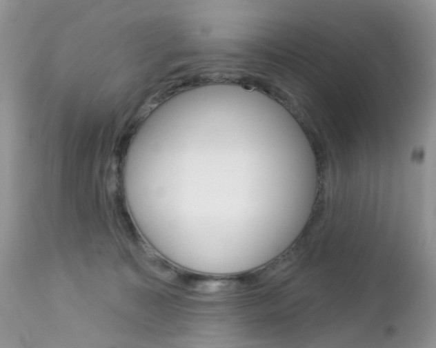 X0000113120323200908281048