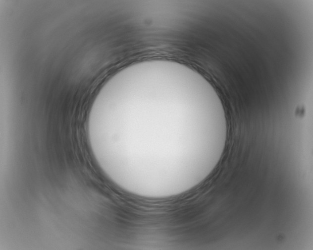 X0000113120324200908281048
