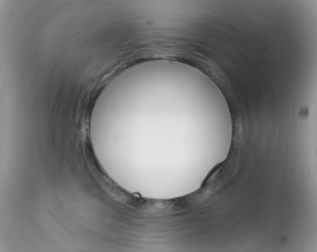 X0000113120329200908281048