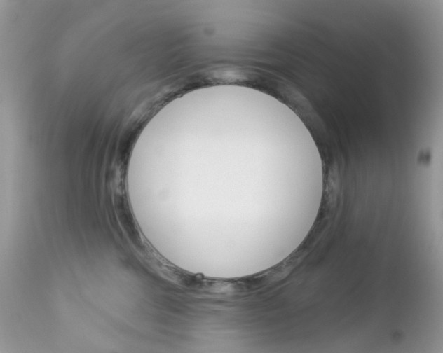 X0000113120330200908281048