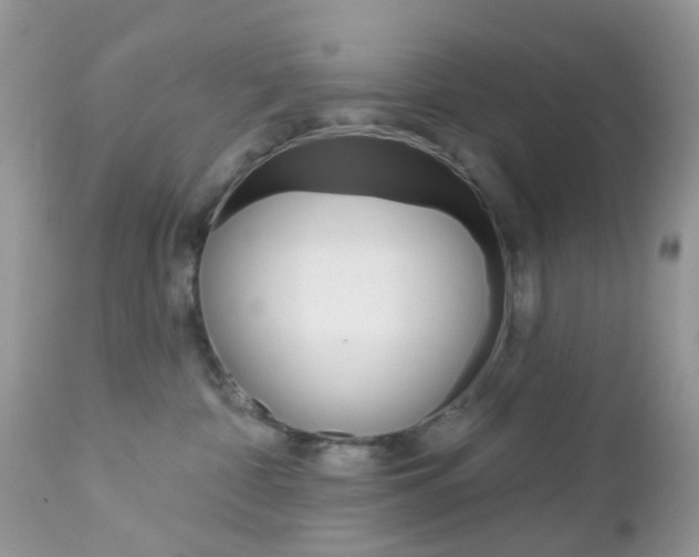 X0000113120332200908281048