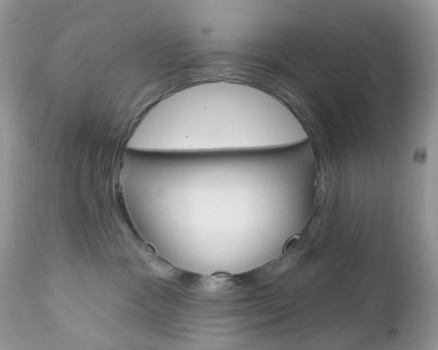 X0000113120333200908281048