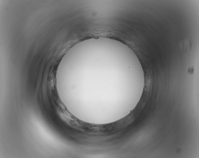 X0000113120334200908281048