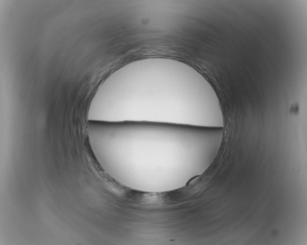 X0000113120335200908281048