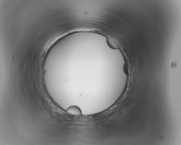 X0000113120337200908281047