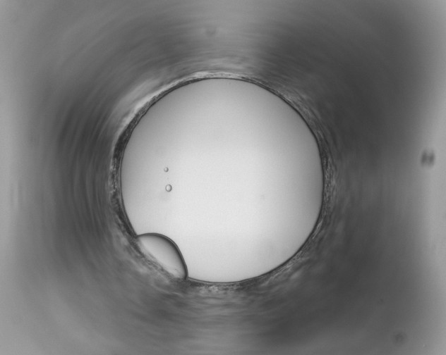 X0000113120338200908281047