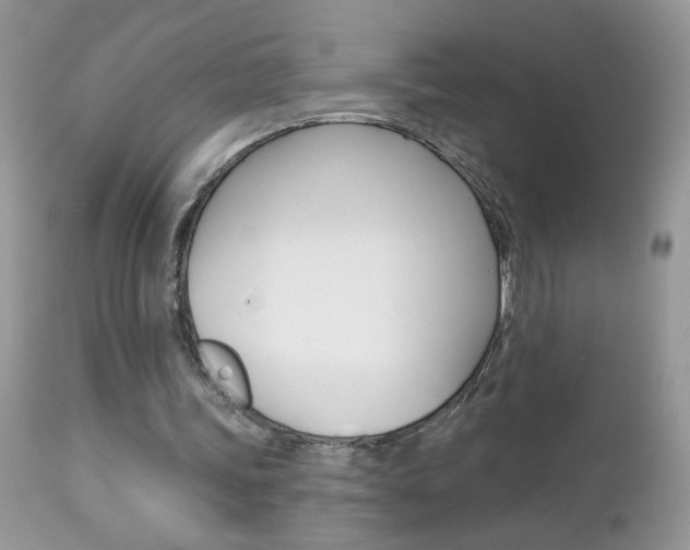 X0000113120339200908281047