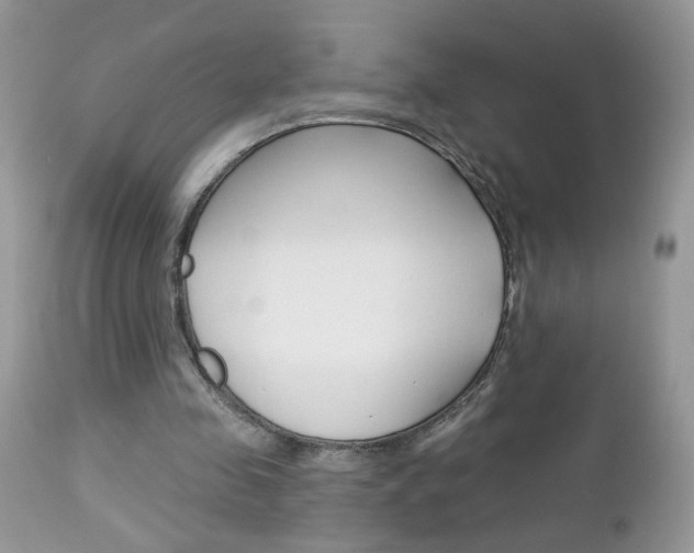 X0000113120341200908281047