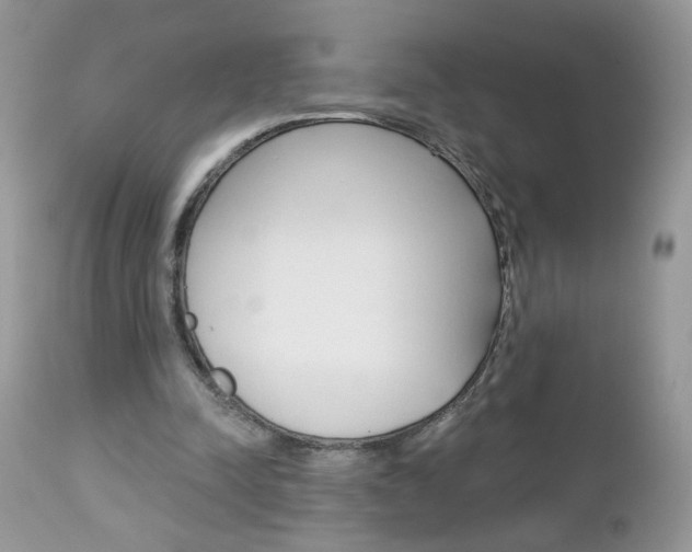 X0000113120342200908281047