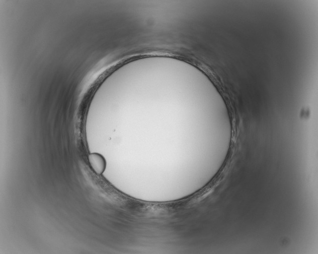 X0000113120343200908281047