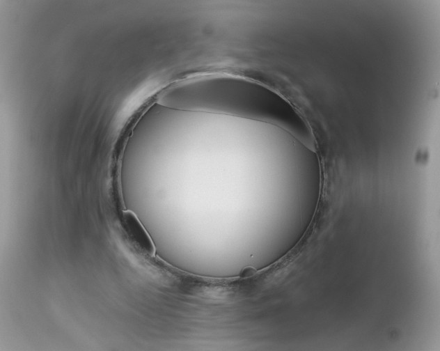 X0000113120344200908281047