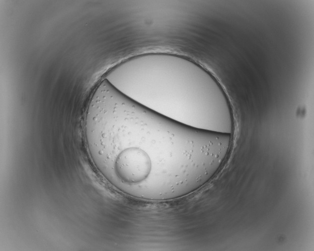X0000113120345200908281047