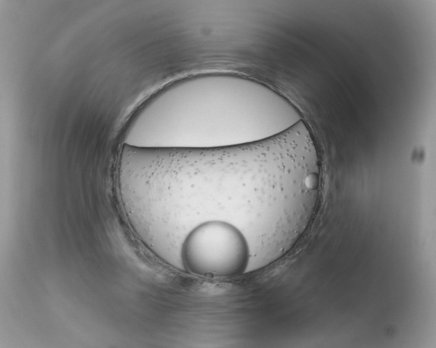 X0000113120346200908281047