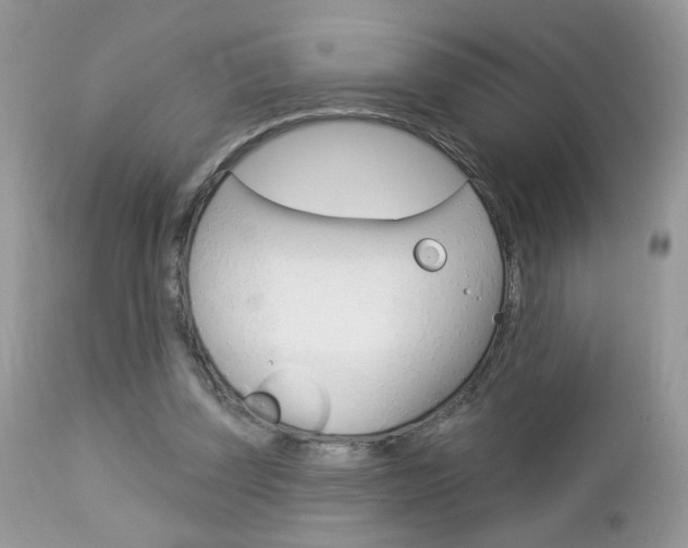 X0000113120347200908281047