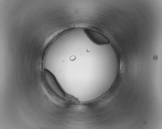 X0000113120348200908281047