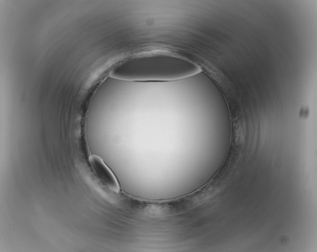 X0000113120350200908281047