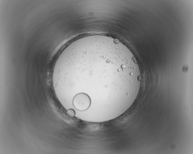 X0000113120351200908281047