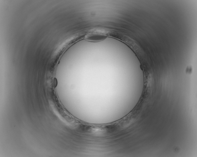 X0000113120352200908281047
