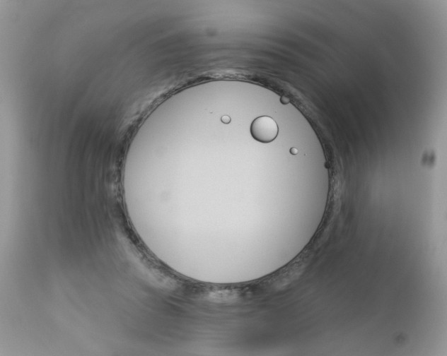 X0000113120353200908281047