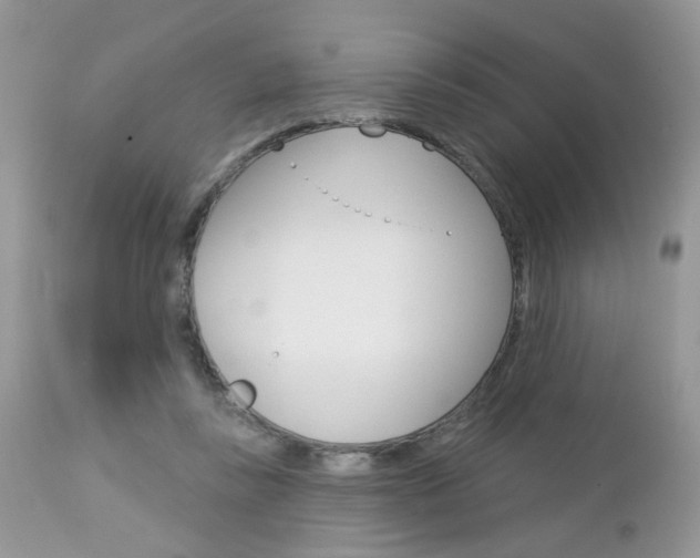 X0000113120355200908281047