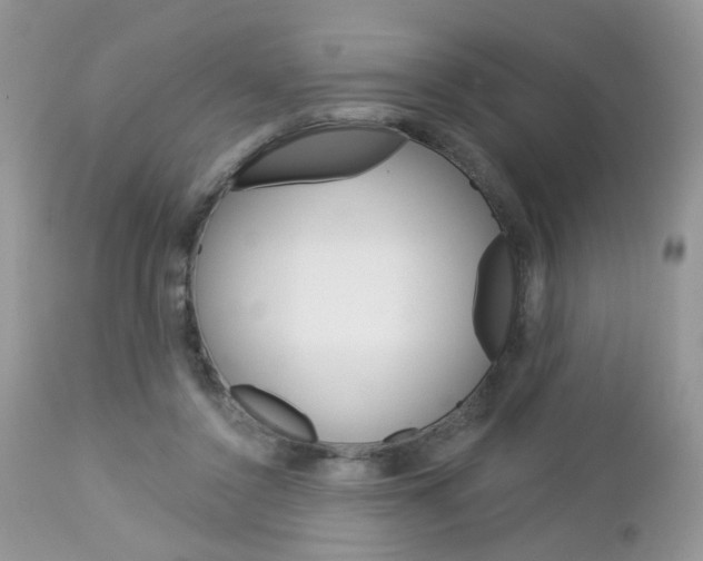 X0000113120356200908281047