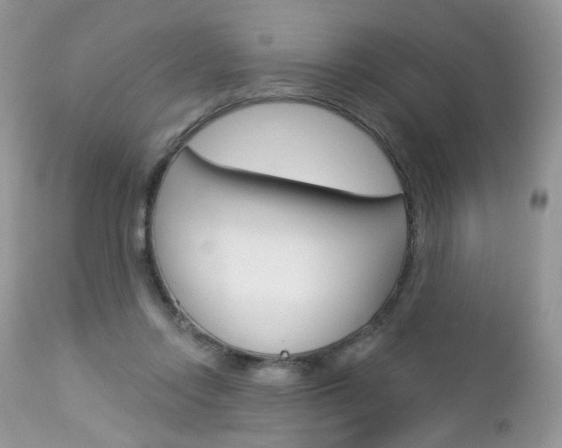 X0000113120358200908281047