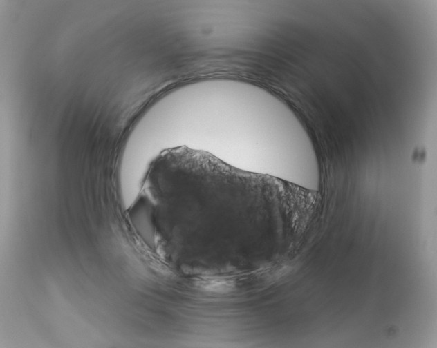 X0000113120359200908281047