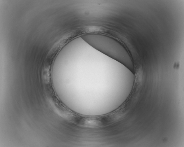 X0000113120360200908281047