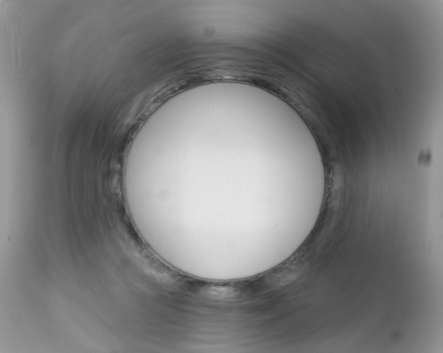 X0000113120361200908281047