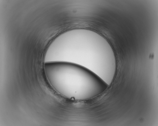 X0000113120362200908281047