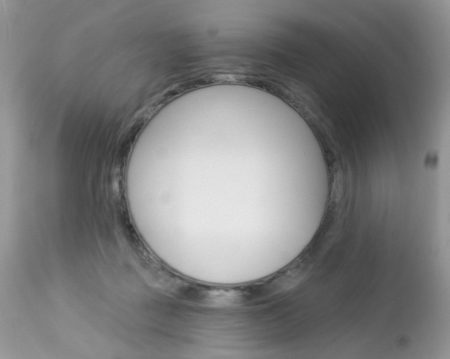 X0000113120363200908281047