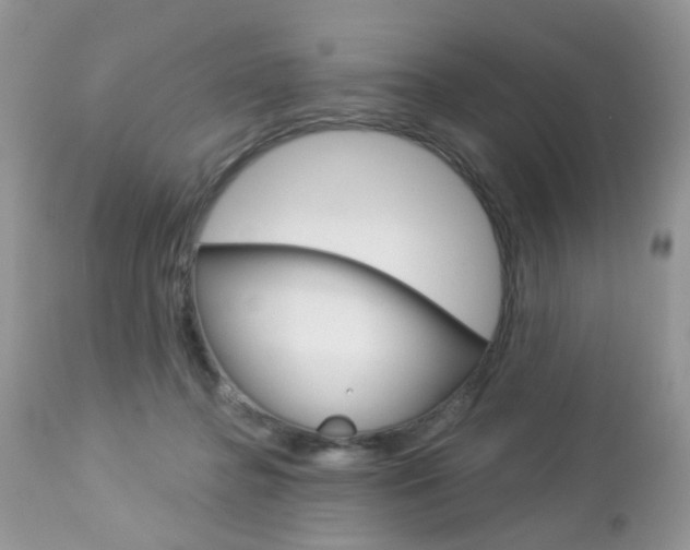 X0000113120364200908281047